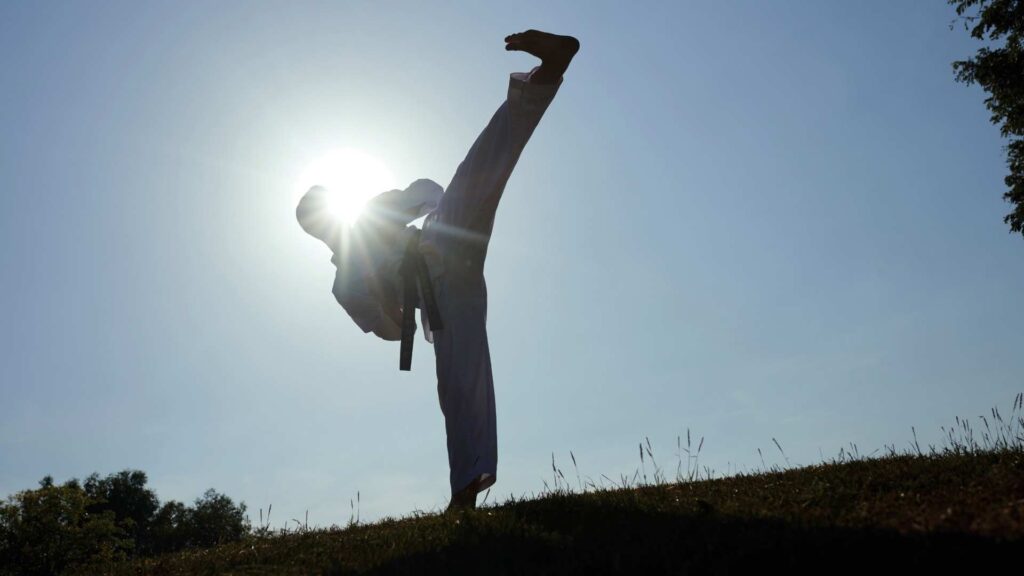 A martial artist performing a high kick against a bright sky backdrop, captured in silhouette.