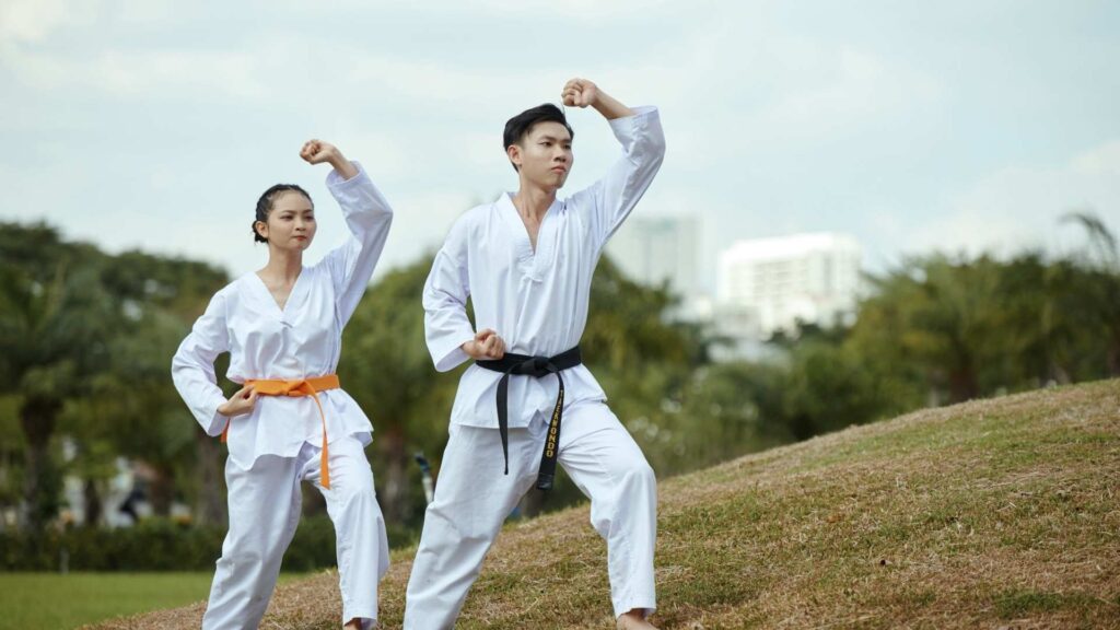 Two martial artists practising Taekwondo forms in a grassy open field.